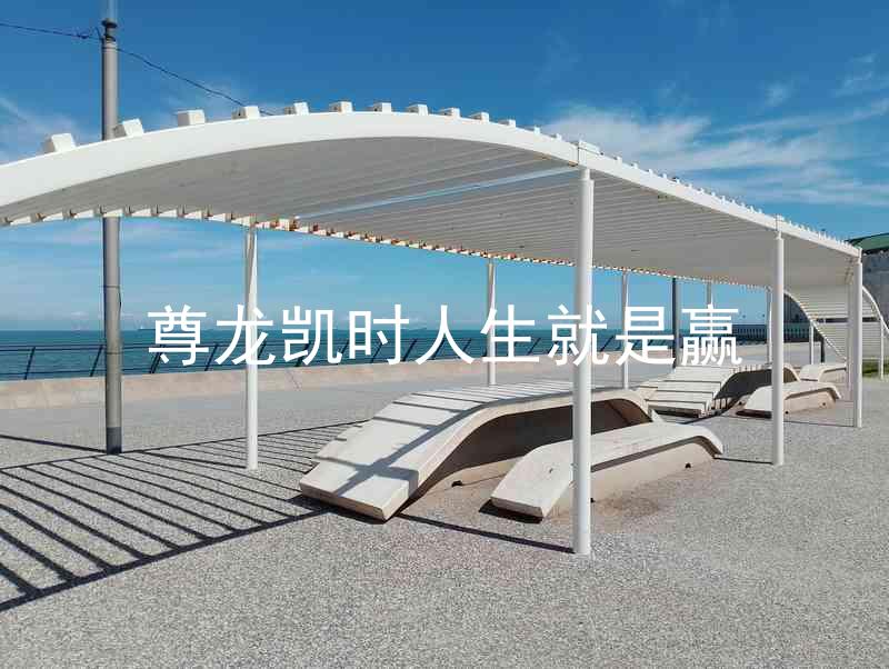 尊龙凯时人生就是赢