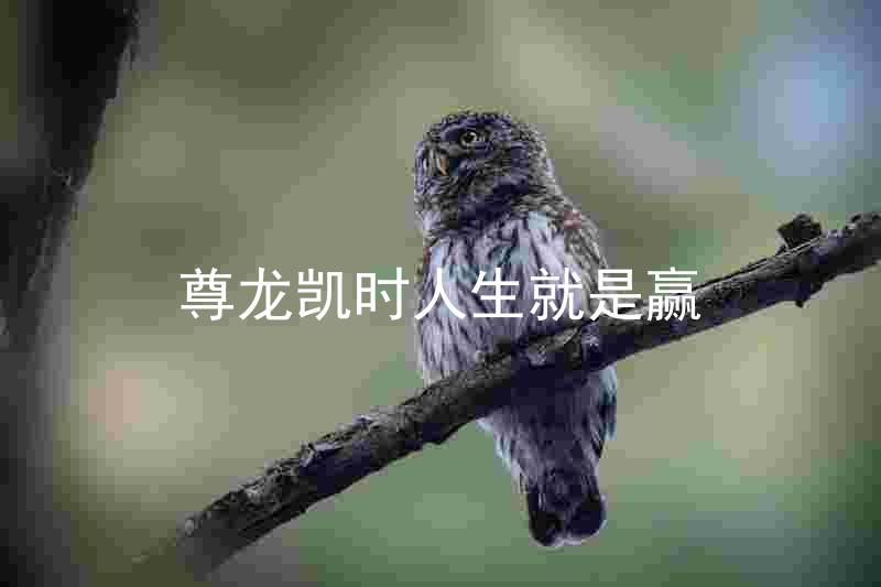 尊龙凯时人生就是赢